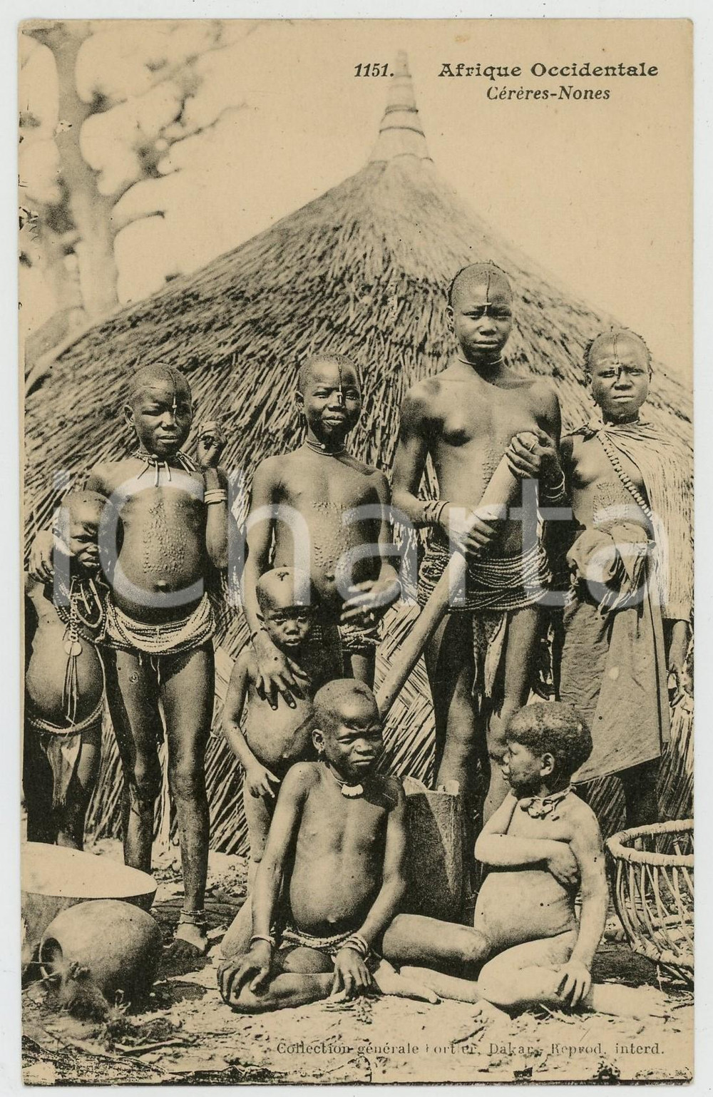 1920 ca AFRIQUE OCCIDENTALE Cérères-Nones - Postcard ed. FORTIER Cartolina postale d'epoca, non viaggiata.CONDIZIONI: GFORMATO: FP    originale e autentica 1