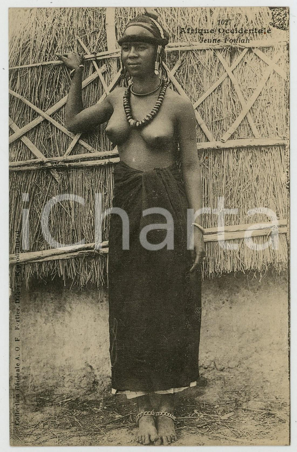 1920 ca AFRIQUE OCCIDENTALE Jeune FOULAH - Postcard 1027 ed. FORTIER ETHNIC NUDE Cartolina postale d'epoca, non viaggiata.CONDIZIONI: GFORMATO: FP    originale e autentica 1