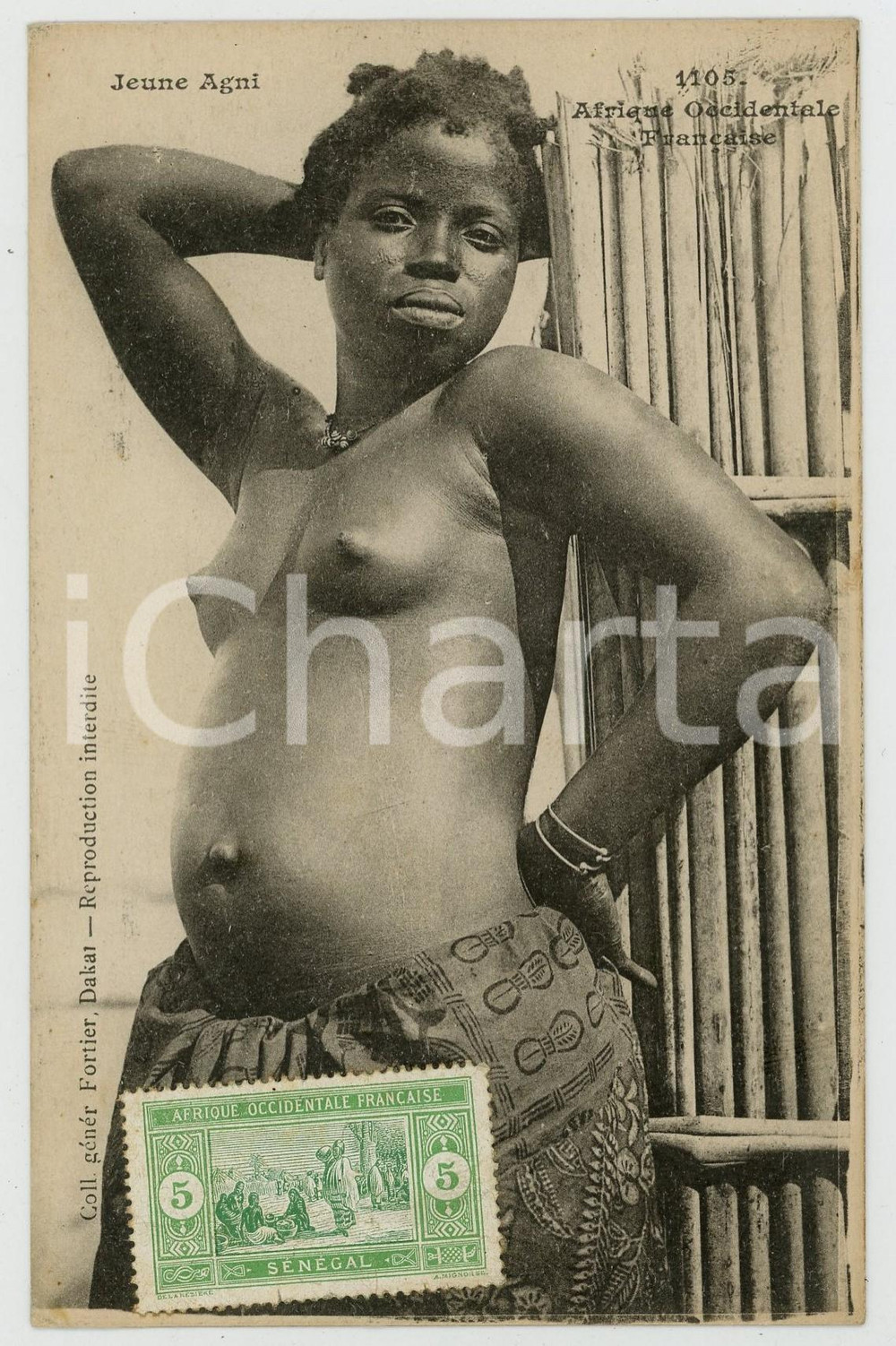 1910 ca AFRIQUE OCCIDENTALE FRANÇAISE - SENEGAL - Jeune fille AGNI - Postcard Cartolina postale d'epoca, non viaggiata.Francobollo al recto.CONDIZIONI: GFORMATO: FP    originale e autentica 1