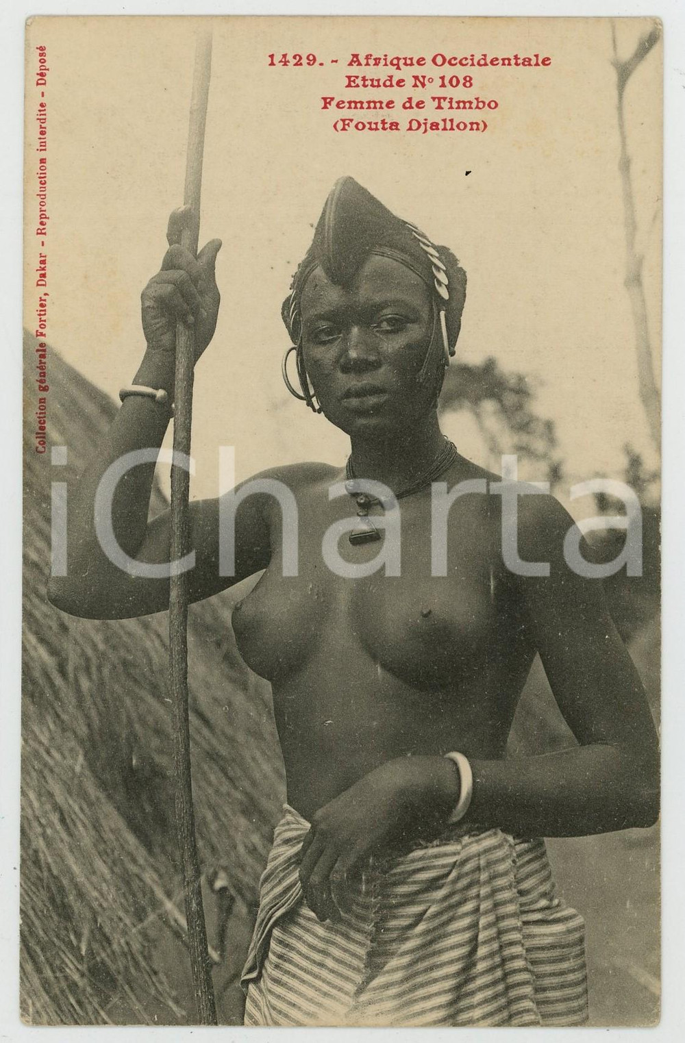 1910 ca AFRIQUE OCCIDENTALE - SENEGAL Femme de TIMBO - Postcard ETHNIC NUDE Cartolina postale d'epoca, non viaggiata.CONDIZIONI: GFORMATO: FPEDITORE: Fortier - Dakar    originale e autentica 1