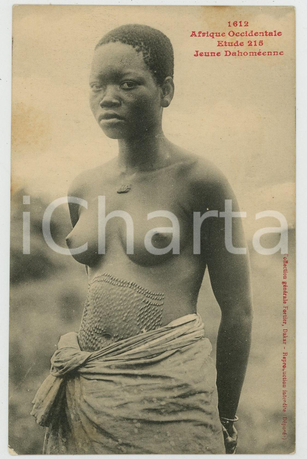 1910 ca AFRIQUE OCCIDENTALE - Jeune Dahoméenne - Postcard ETHNIC NUDE Tatouages Cartolina postale d'epoca, non viaggiata.CONDIZIONI: F (minima sbrecciatura angolare; ingiallimenti)FORMATO: FPEDITORE: Fortier - Dakar    originale e autentica 1