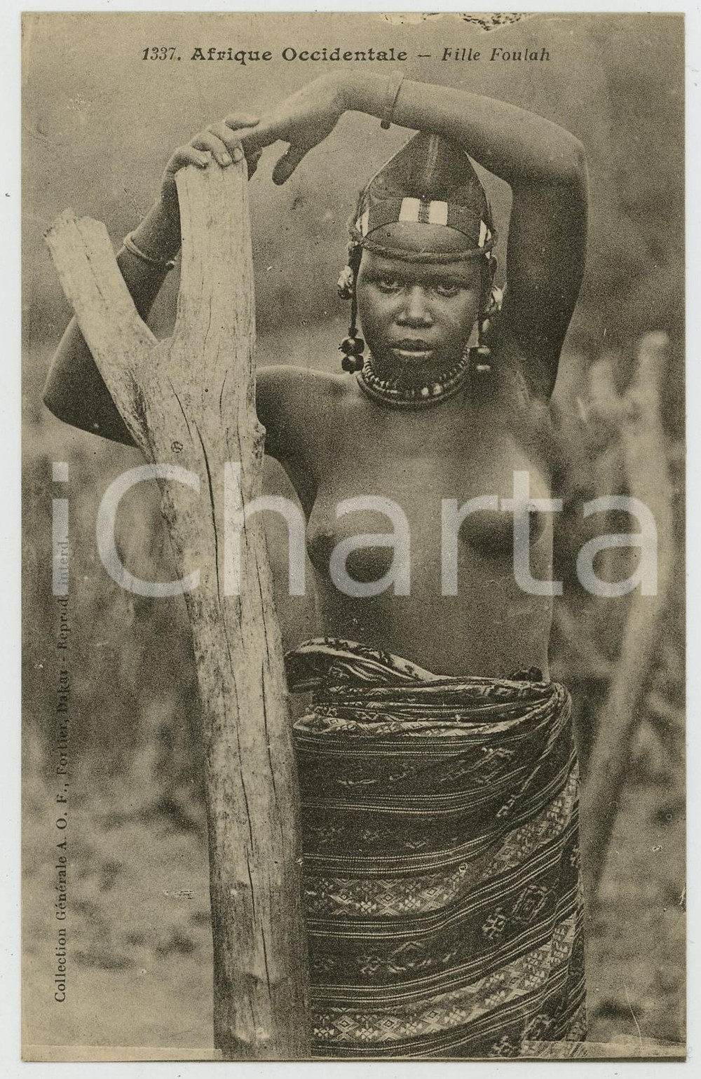 1920 ca AFRIQUE OCCIDENTALE Fille FOULAH - Postcard 1337 ed. FORTIER ETHNIC NUDE Cartolina postale d'epoca, non viaggiata.CONDIZIONI: GFORMATO: FP    originale e autentica 1