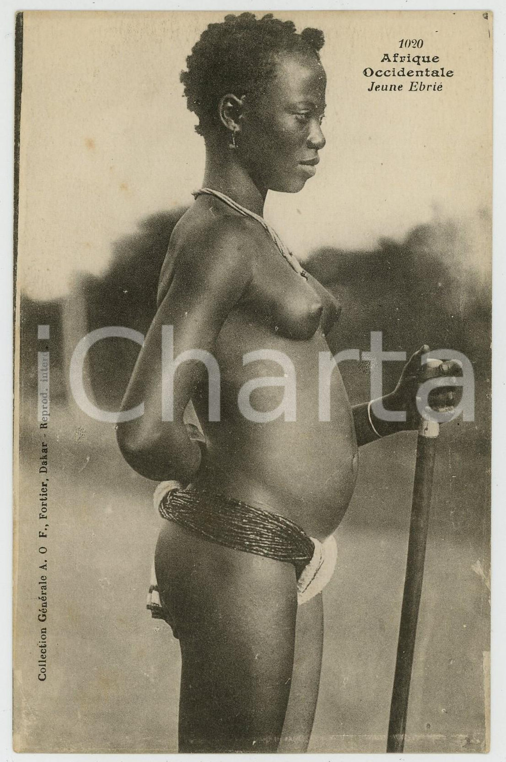 1910 ca AFRIQUE OCCIDENTALE Jeune Ebrié - Carte postale 1020 NU ETHNIQUE  Cartolina postale d'epoca, non viaggiata.EDITORE: Collection g&eacute;n&eacute;rale Fortier, DakarCONDIZIONI: GFORMATO: FP    originale e autentica 1