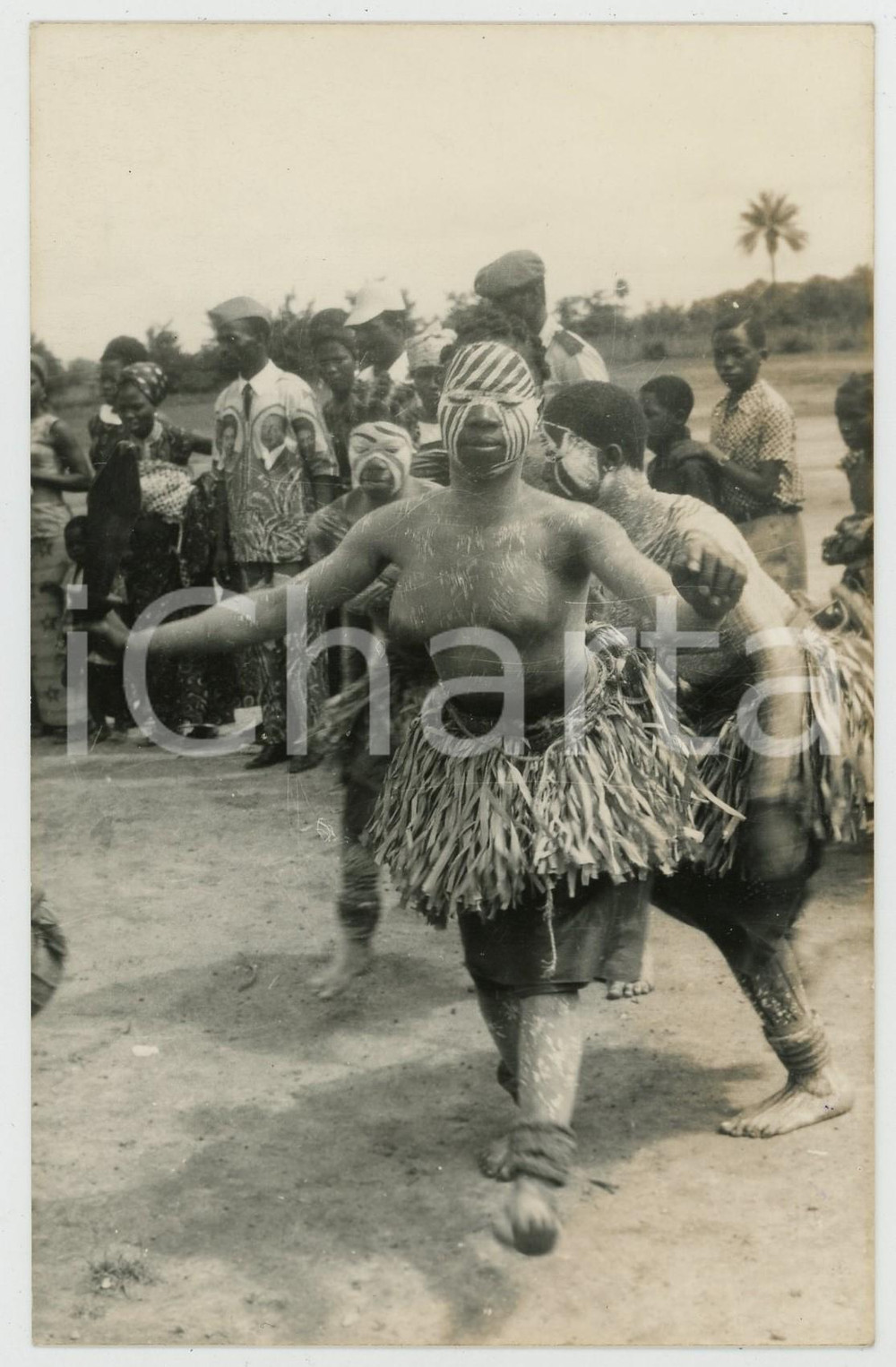 Cartolina originale da collezione 1955 ca AFRICA Tribal dancer ETHNIC NUDE Postcard FP NV 1