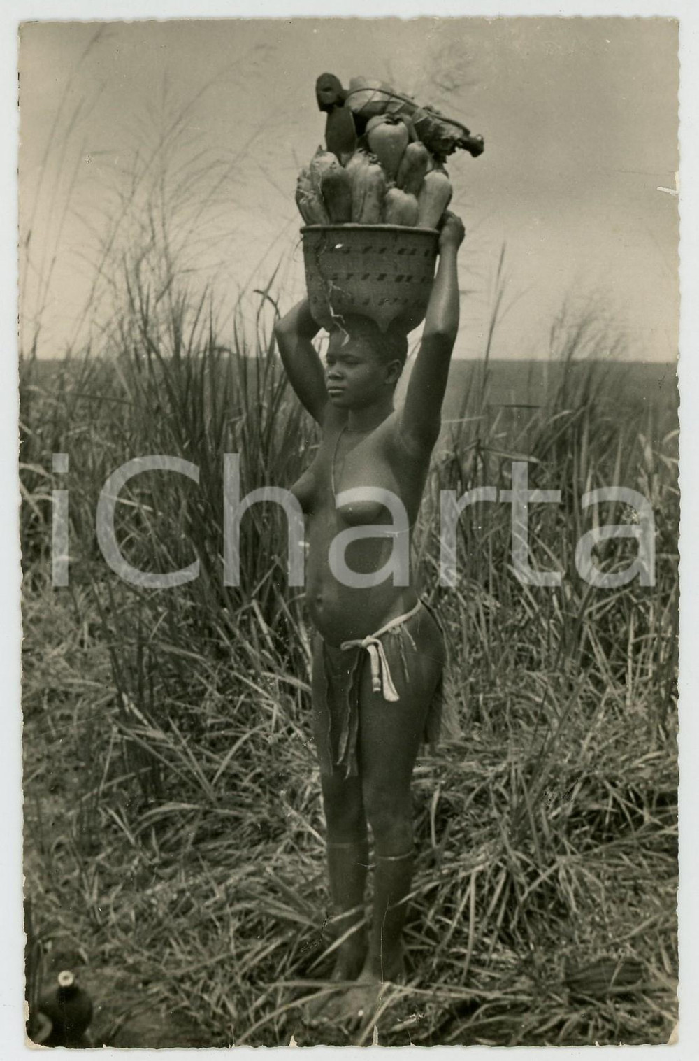 1955 ca STANLEYVILLE (CONGO BELGE) Femme indigène NU ETHNIQUE Carte postale FP  Cartolina postale d'epoca, non viaggiata ma con nota manoscritta al verso.CONDIZIONI: POOR (piegatura verticale al margine inferiore)FORMATO: FP    originale e autentica 1