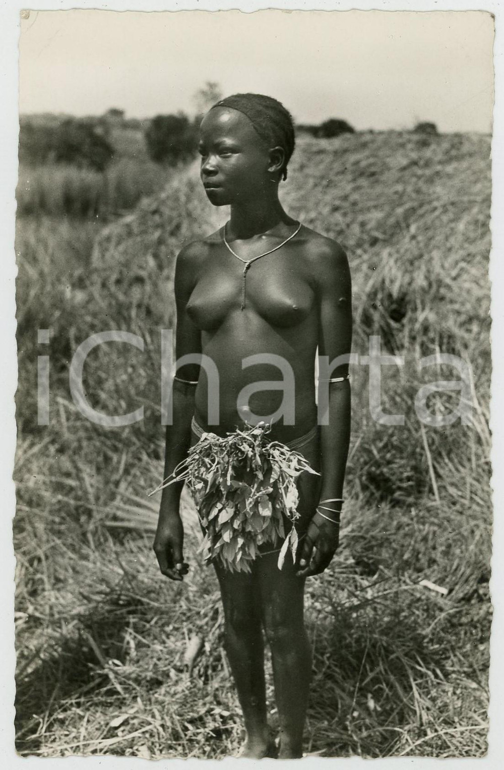 1958 EXPO BRUXELLES - CONGO BELGE - Jeune fille - Photo postcard EHTNIC NUDE Fotografia seriale d'epoca, in formato cartolina postale, non viaggiata.CONDIZIONI: GFORMATO: 9x14 cmFOTOGRAFO : Photo-Home - L&eacute;opoldville    originale e autentica 1
