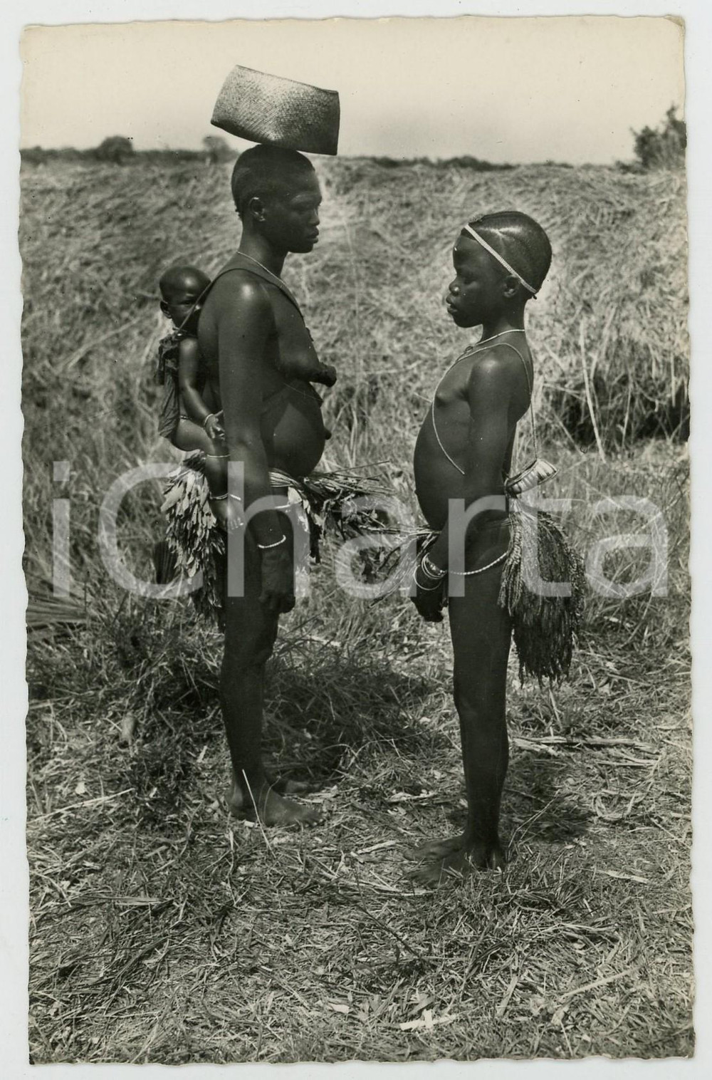 1955 ca CONGO BELGE Province Orientale - Jeunes MAGBETU - Photo postcard Fotografia seriale d'epoca, in formato cartolina postale, non viaggiata.CONDIZIONI: GFORMATO: 9x14 cmFOTOGRAFO : Photo-Home - L&eacute;opoldville    originale e autentica 1