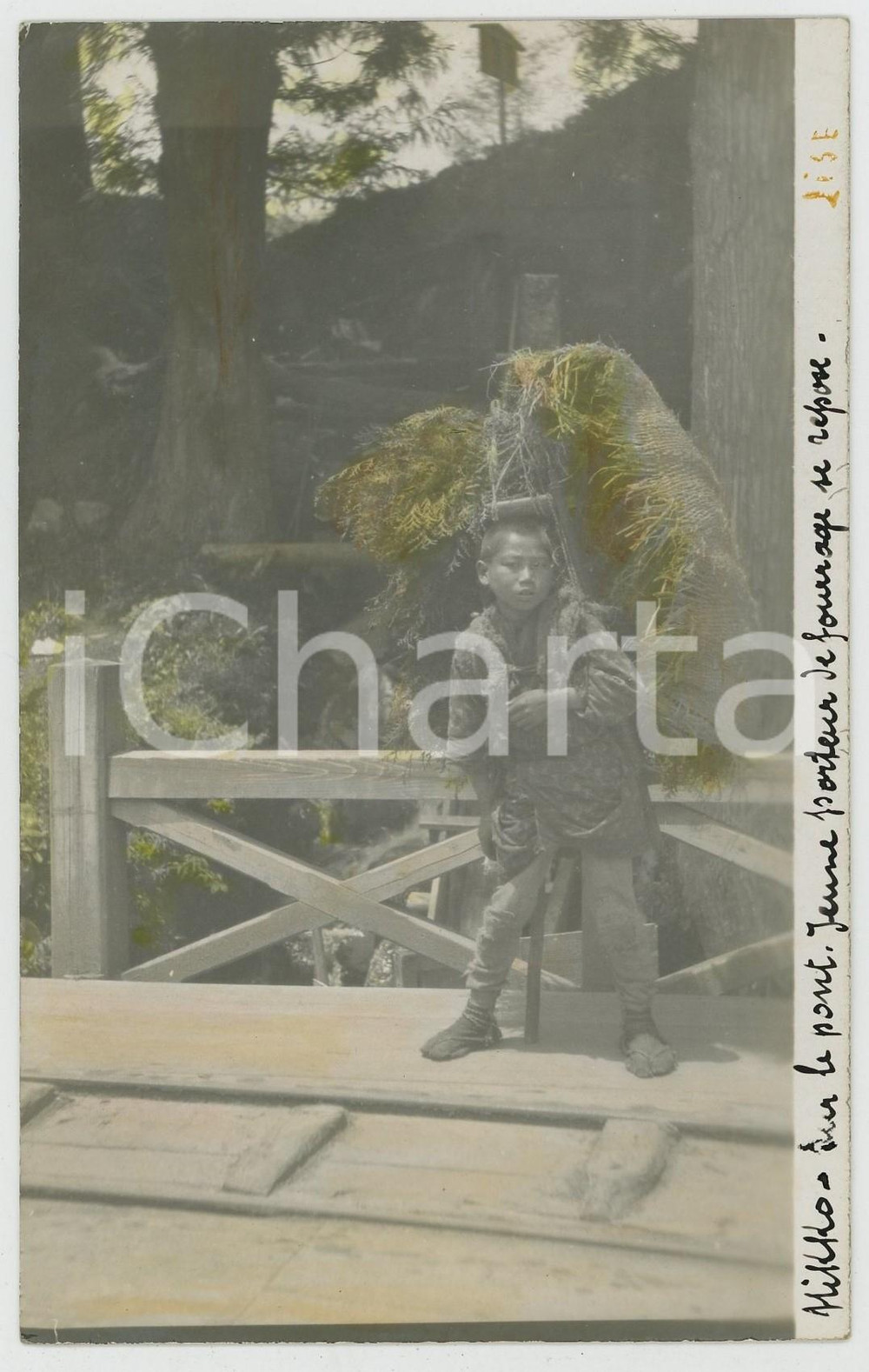 1920 ca NIKKO (JAPAN) Jeune porteur de fourrage se repose - RPPC Photo postcard  Fotocartolina d'epoca, con didascalia manoscritta originale al lato destro.AUTORE: Photo Compagnie BelgeCONDIZIONI: GFORMATO: FP    originale e autentica 1