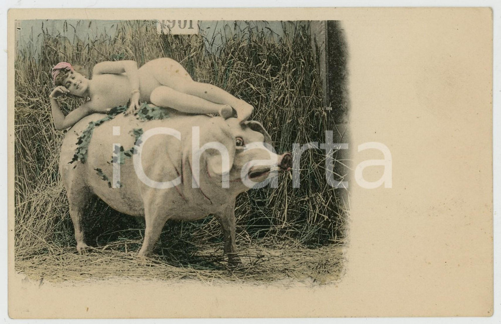 1901 VINTAGE EROTIC Nude woman on a pig - French vintage postcard  Cartolina postale d'epoca, non viaggiata.CONDIZIONI: POOR (buone condizioni al fronte, ma abrasioni al retro)FORMATO: FP    originale e autentica 1