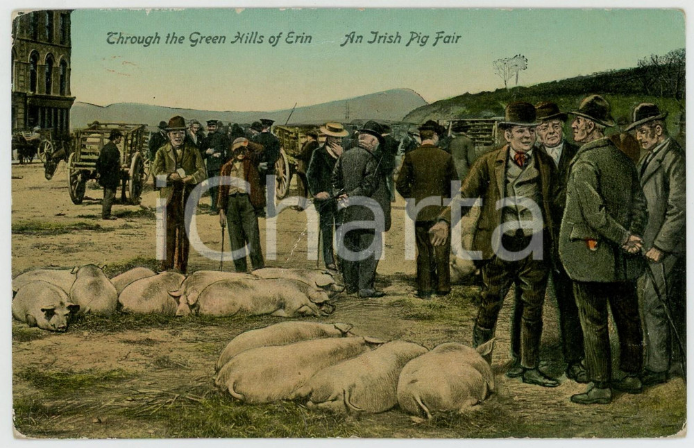 1920 ca IRELAND Irish pig fair - Through the Green Hills of Erin - Postcard FP  Cartolina postale d'epoca, non viaggiata. POOR/danneggiato Lievi smussature agli angoli, estesa abrasione al verso Formato: FP originale e autentica 1
