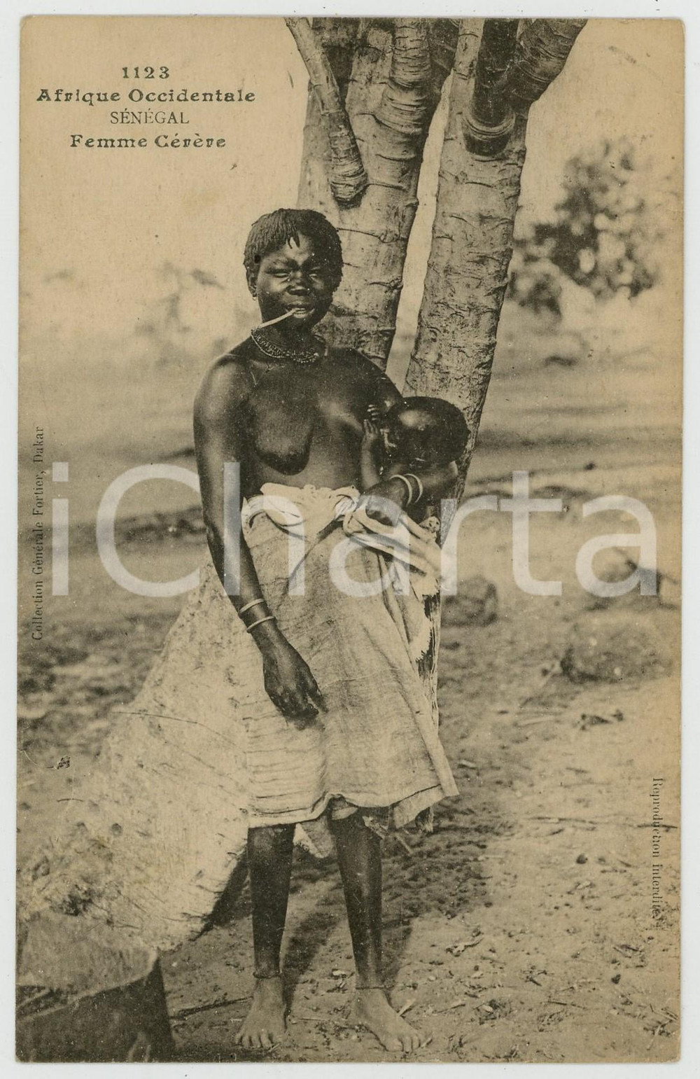 Cartolina originale da collezione 1920 SENEGAL  AFRIQUE OCCIDENTALE Femme CÃ©rÃ¨re NU ETHNIQUE Carte postale FP VG 1