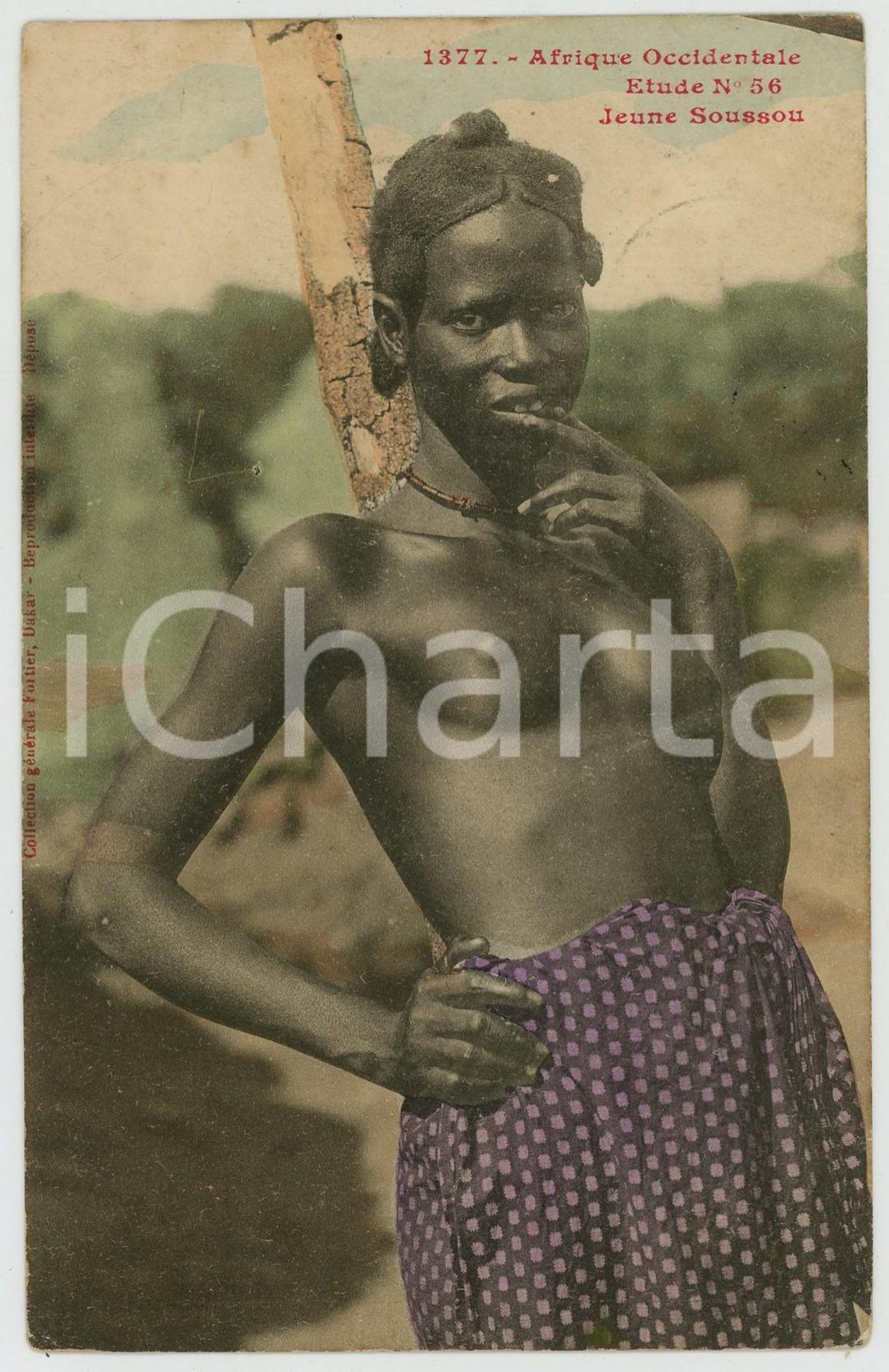 1910 AFRIQUE OCCIDENTALE Jeune Soussou - Etude n.56 NU ETHNIQUE Carte postale FP  Cartolina postale d'epoca, viaggiata.EDITORE: Collection g&eacute;n&eacute;rale Fortier, DakarCONDIZIONI: FAIR (affrancatura rimossa)FORMATO: FP    originale e autentica 1