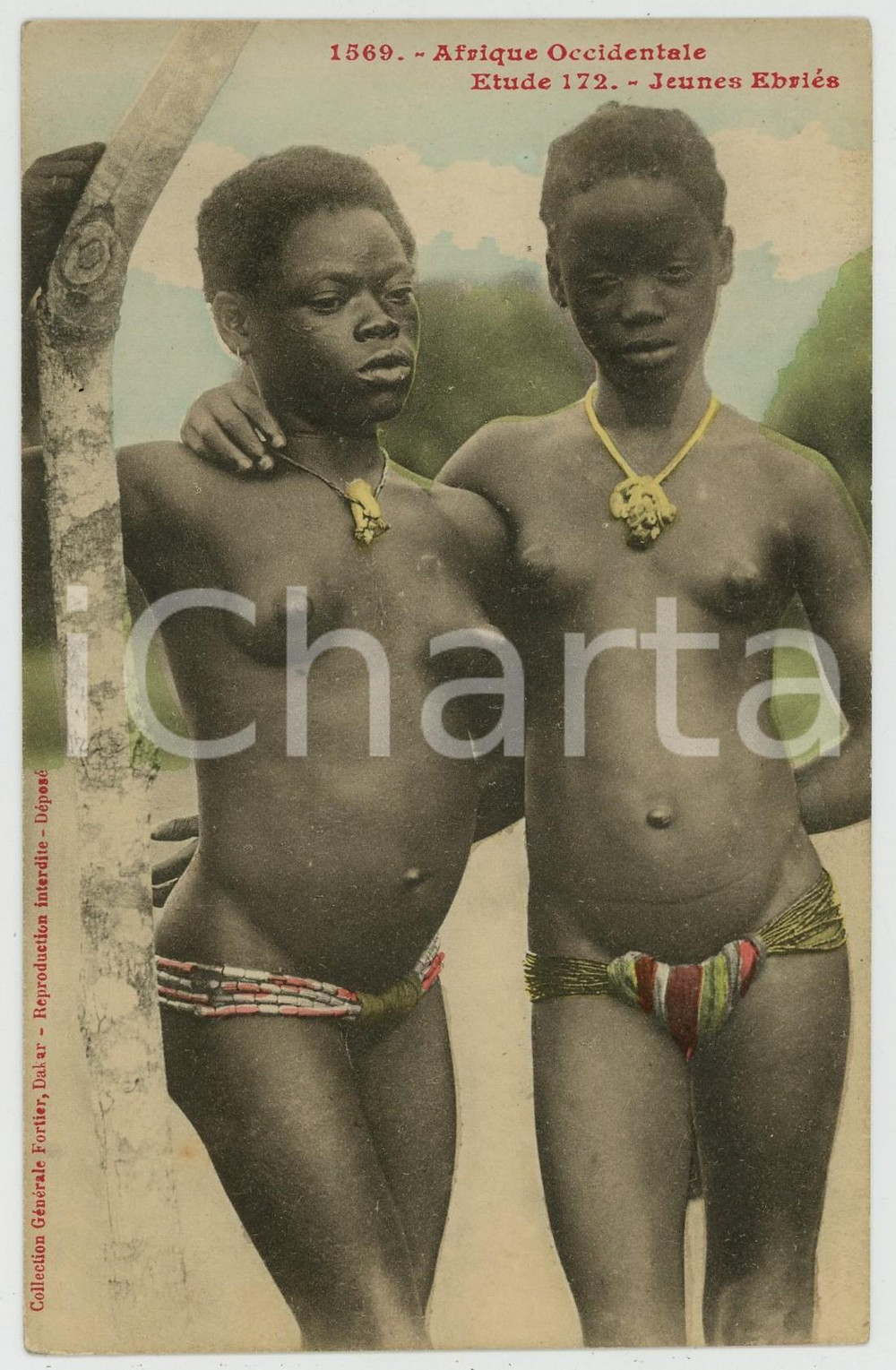 Cartolina originale da collezione 1920ca AFRIQUE OCCIDENTALE Jeunes EbriÃ©s  Etude n.172 NU ETHNIQUE Carte postale 1
