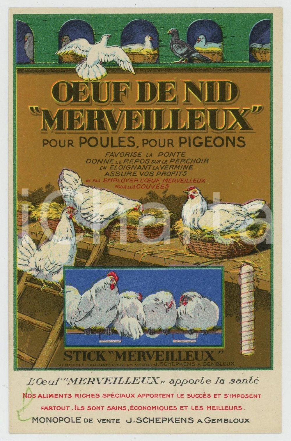 1910 ca BELGIQUE Oeuf de nid MERVEILLEUX - Monopole J. SCHEPKENS *Carte postale  Cartolina postale d'epoca, non viaggiata.Pubblicit&agrave; al verso "Chocolat Em&eacute;ry". GOOD/buono  Formato: 9x14 cm originale e autentica 1