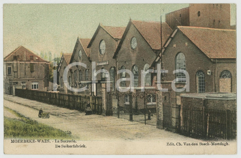 1908 MOERBEKE-WAES (BELGIQUE) La sucrerie - Carte postale FP VG  Cartolina d'epoca, viaggiata. FAIR/discreto Lievi smussature agli angoli, piegatura all'angolo superiore destro Formato: FP originale e autentica 1