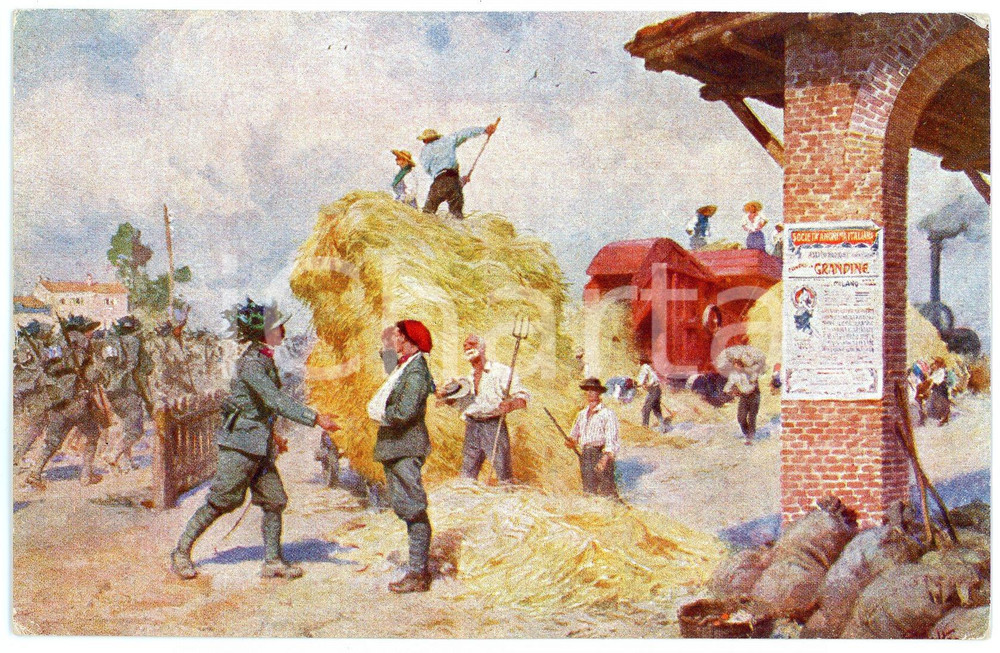 1915 ca WW1 Bersaglieri assistono alla trebbiatura - Cartolina ILLUSTRATA FP NV  Cartolina postale d'epoca, non viaggiata.EDITORE: Societ&agrave; anonima italiana di assicurazioni a premio fisso contro la grandine - Milano FAIR/discreto Lievi smussature e piegature agli angoli Formato: FP originale e autentica 1
