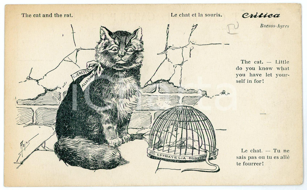 1920 ca BUENOS AIRES - CRITICA The cat and the rat - Illustrated Postcard FP NV  Cartolina postale d'epoca, non viaggiata.CONDIZIONI: FAIR (PIEGATURA ALL'ANGOLO SUPERIORE DESTRO)FORMATO: FP    originale e autentica 1