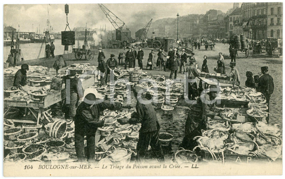 1910 ca BOULOGNE-SUR-MER Triage du poisson avant la criée - Carte postale FP NV  Cartolina postale d'epoca, non viaggiata. FAIR/discreto Lievi smussature agli angoli Formato: FP originale e autentica 1