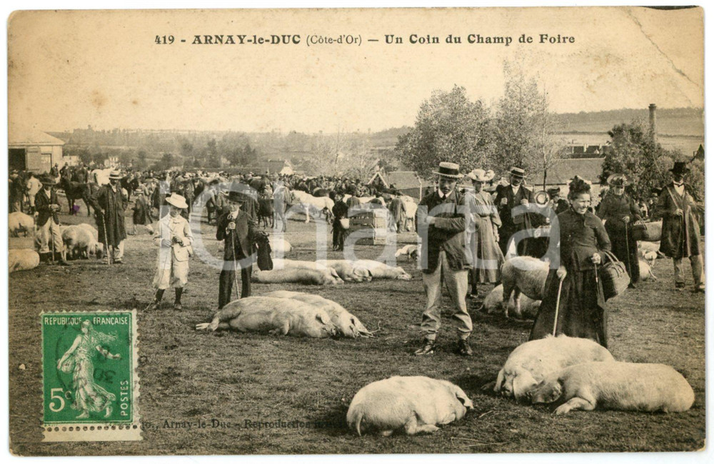 1910 ca ARNAY-LE-DUC (FRANCE) Champ de foire - Cochons - Carte postale ANIMEE  Cartolina postale d'epoca, viaggiata.CONDIZIONI: P (evidente piegatura angolare)FORMATO: FP    originale e autentica 1