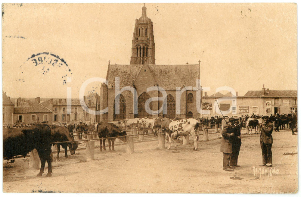 1910 ca BRESSUIRE (FRANCE) Champ de foire - Bétail - Carte postale ANIMEE  Cartolina postale d'epoca, viaggiata (ma francobollo asportato).CONDIZIONI: F (lievi piegature angolari)FORMATO: FP    originale e autentica 1