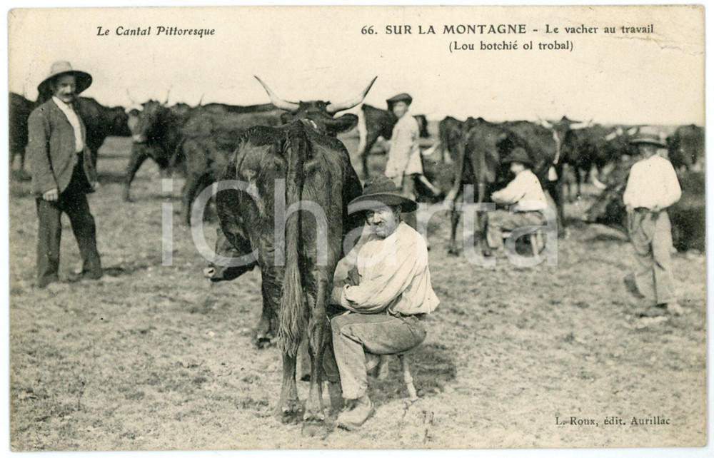 1908 CANTAL PITTORESQUE Sur la montagne - Vacher au travail - Carte postale FP  Cartolina d'epoca, viaggiata. FAIR/discreto Lievi smussature agli angoli, profonda piegatura all'angolo superiore destro Formato: FP originale e autentica 1