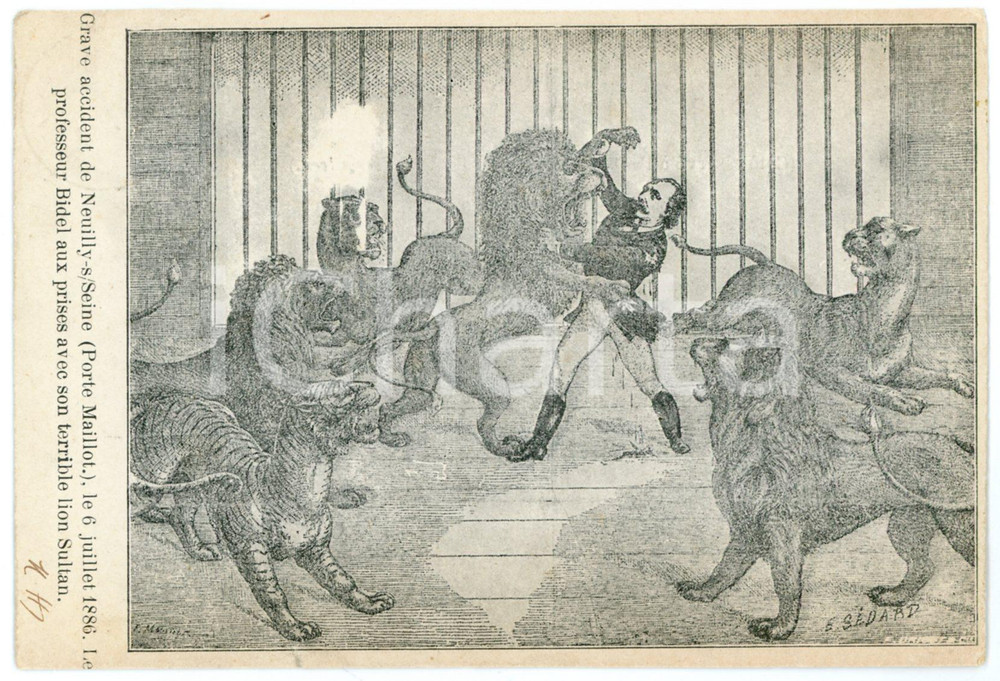 1907 NEUILLY SUR SEINE Jean Baptiste François BIDEL mordu par un lion - Postcard  Cartolina postale, viaggiata. POOR/danneggiato Smussature e piegature agli angoli, gualciture diffuse, strappo al margine inferiore Formato: FP originale e autentica 1