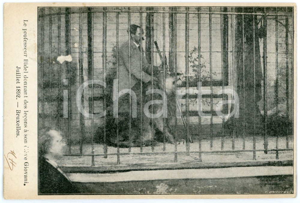 1907 BRUXELLES Jean Baptiste François BIDEL with one of his lions - Postcard FP  Cartolina postale, viaggiata. POOR/danneggiato Smussature e piegature agli angoli, abrasione al verso Formato: FP originale e autentica 1