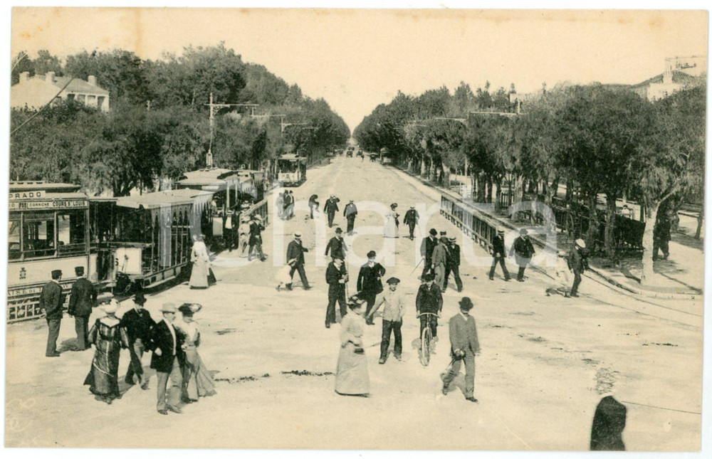 1910 ca MARSEILLE - FRANCE Le Prado vu de la plage - Carte postale FP NV  Cartolina d'epoca,  non viaggiata. FAIR/discreto Lievi smussature agli angoli, bruniture Formato: FP originale e autentica 1
