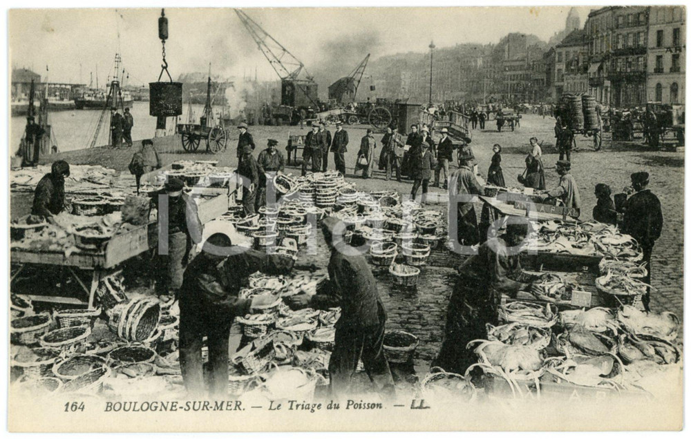 1910 ca BOULOGNE-SUR-MER Le triage du poisson - Carte postale FP NV  Cartolina d'epoca,  non viaggiata. FAIR/discreto Lievi smussature agli angoli Formato: FP originale e autentica 1