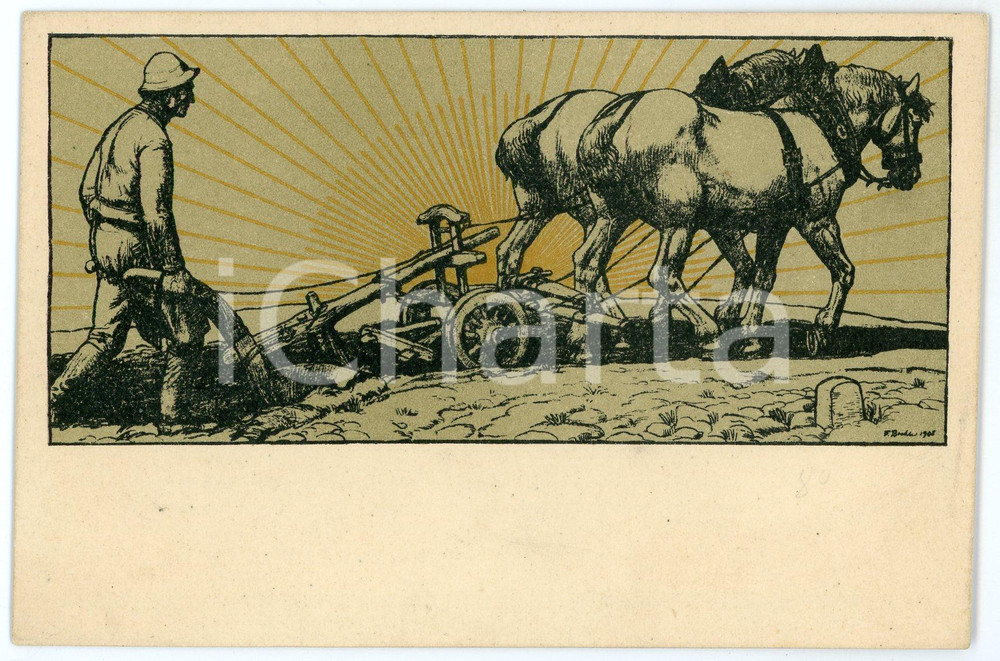 1910 ca Artist Fritz BOEHLE - Pflügender Bauer i - Postcard  Cartolina postale d'epoca, non viaggiata. GOOD/buono  Formato: 14x9 cm originale e autentica 1