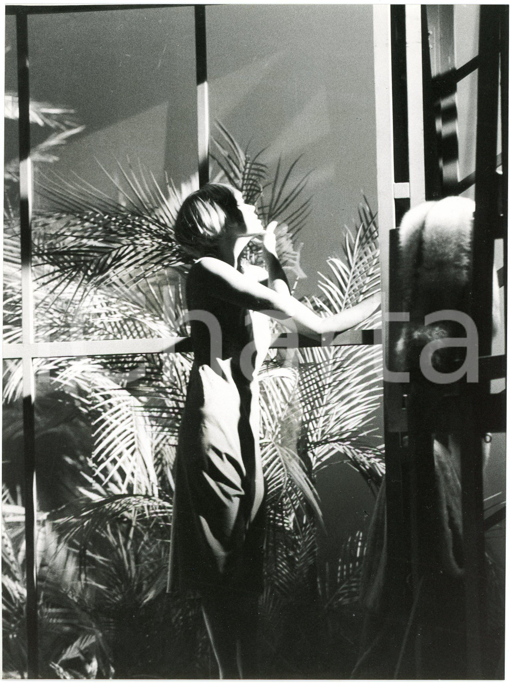 1977 LIRICA Soprano Carole FARLEY in "Lulu" - Foto 18x24 cm  Fotografia originale, con didascalia al verso. GOOD/buono  Formato: 18x24 cm originale e autentica 1