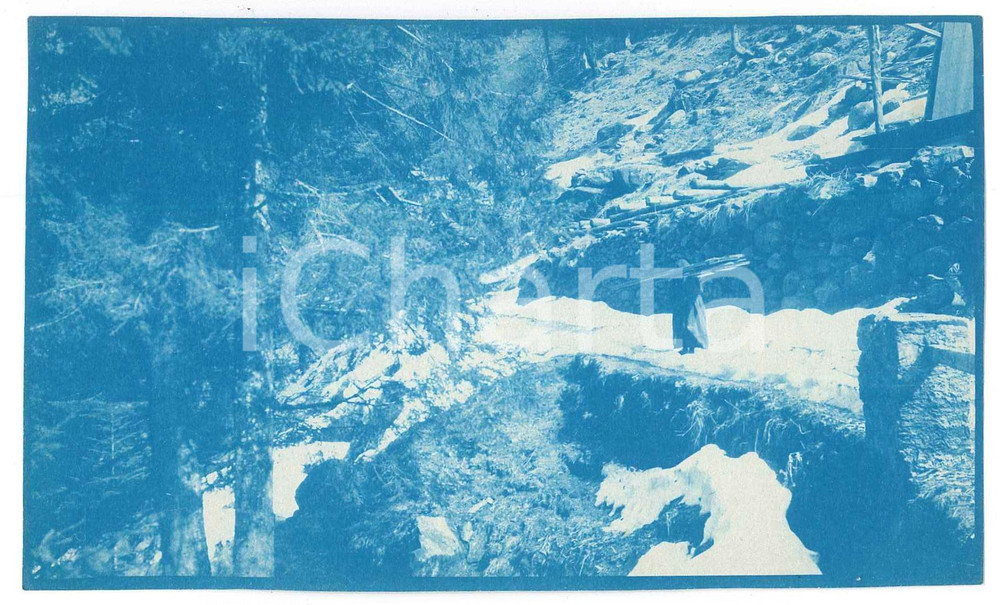 1905 ca VALTELLINA (?) Anziana con fascio di legna - Foto 14x8 cm Fotografia d'epoca.FOTOGRAFO: Dr. Vittorio Ronchetti - Milano FAIR/discreto Lievi smussature agli angoli Formato: 14x8 originale e autentica 1