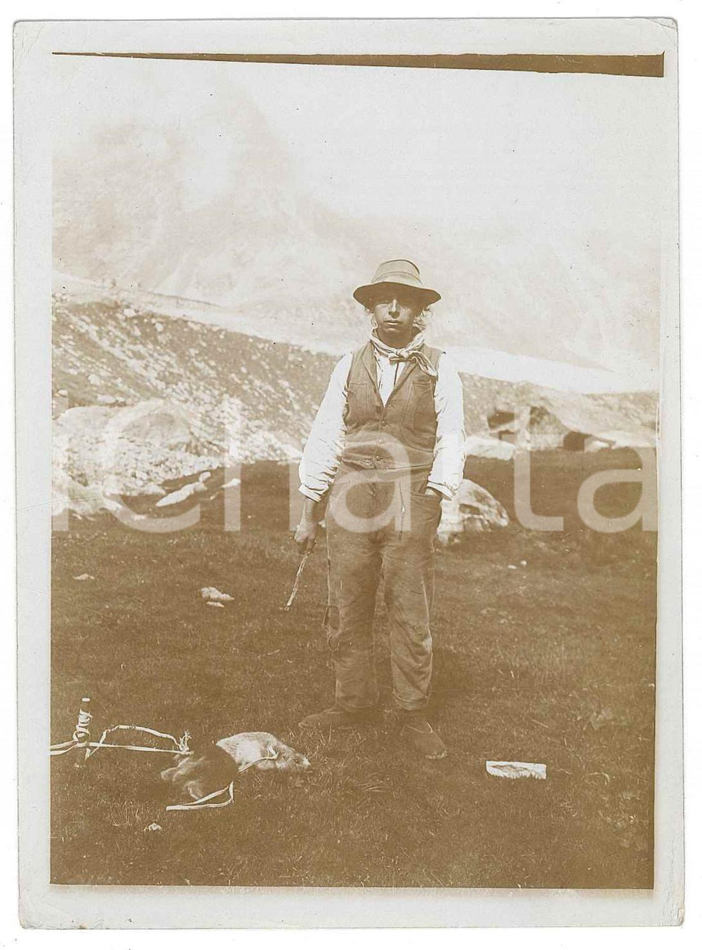 1910 ca ALPI Cacciatori di marmotte - Fotografia anonima 12x9 cm Fotografia d'epoca. FAIR/discreto Lievi smussature agli angoli Formato: 12x9 originale e autentica 1