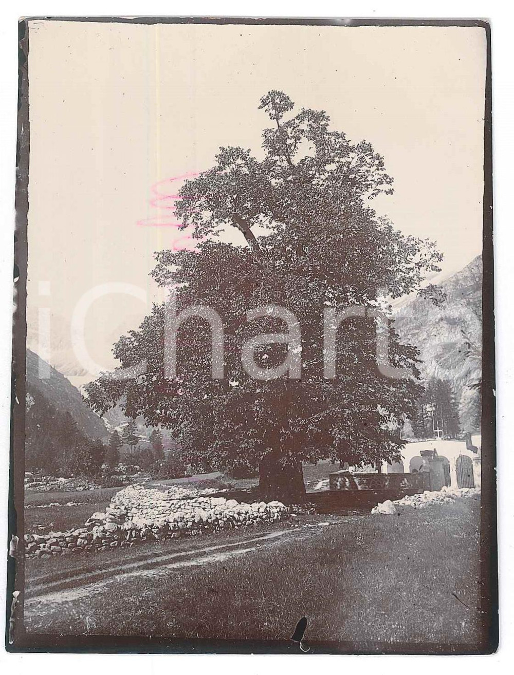 1905 ca MACUGNAGA - VALLE ANZASCA Scorcio del paese - Foto 11x9 Fotografia d'epoca. FAIR/discreto Lievi smussature agli angoli Formato: 11x9 originale e autentica 1