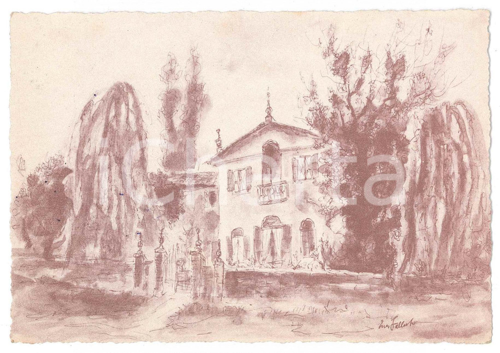 1963 CINTO EUGANEO Ca' Pasinetti - Cartolina Silvia RODELLA - AUTOGRAFO Cartolina postale d'epoca, autografa della scrittrice padovana Silvia Rodella, viaggiata.Al recto &egrave; presente un'immagine della villa di famiglia. GOOD/buono  Formato: 15x10 cm originale e autentica 1