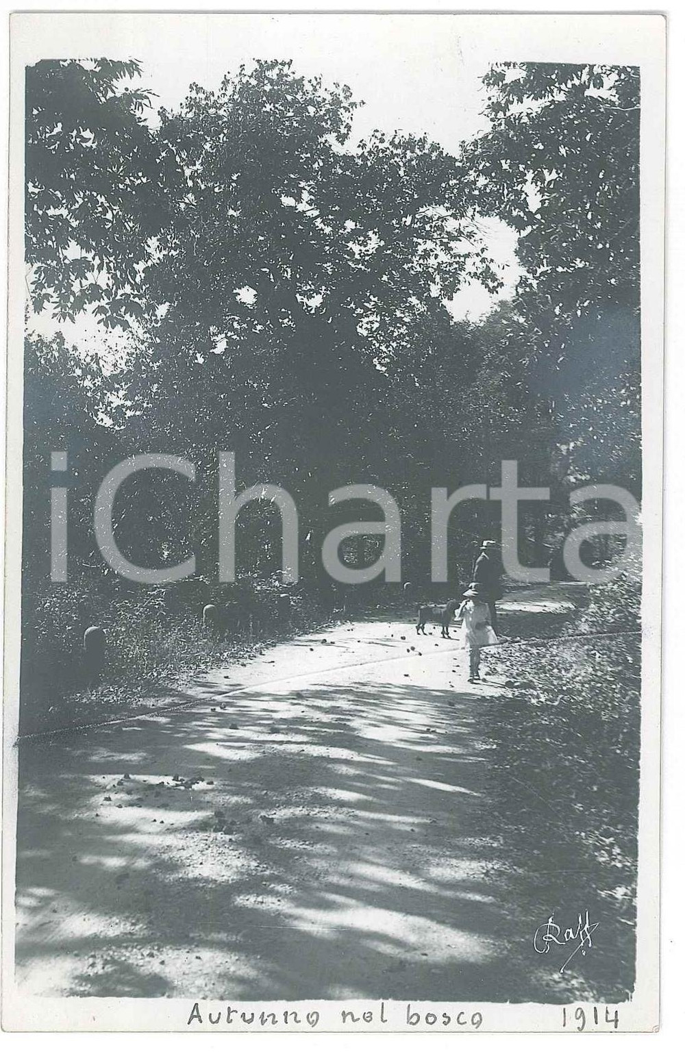 1914 GHIFFA (?) Cane e bambina a passeggio nel bosco - Foto Raffaele PEDRETTI  Fotografia d'epoca in formato cartolina postale.FOTOGRAFO: Raffaele Pedretti VERY POOR/gravemente danneggiato Lievi smussature agli angoli, graffio orizzontale Formato: FP originale e autentica 1
