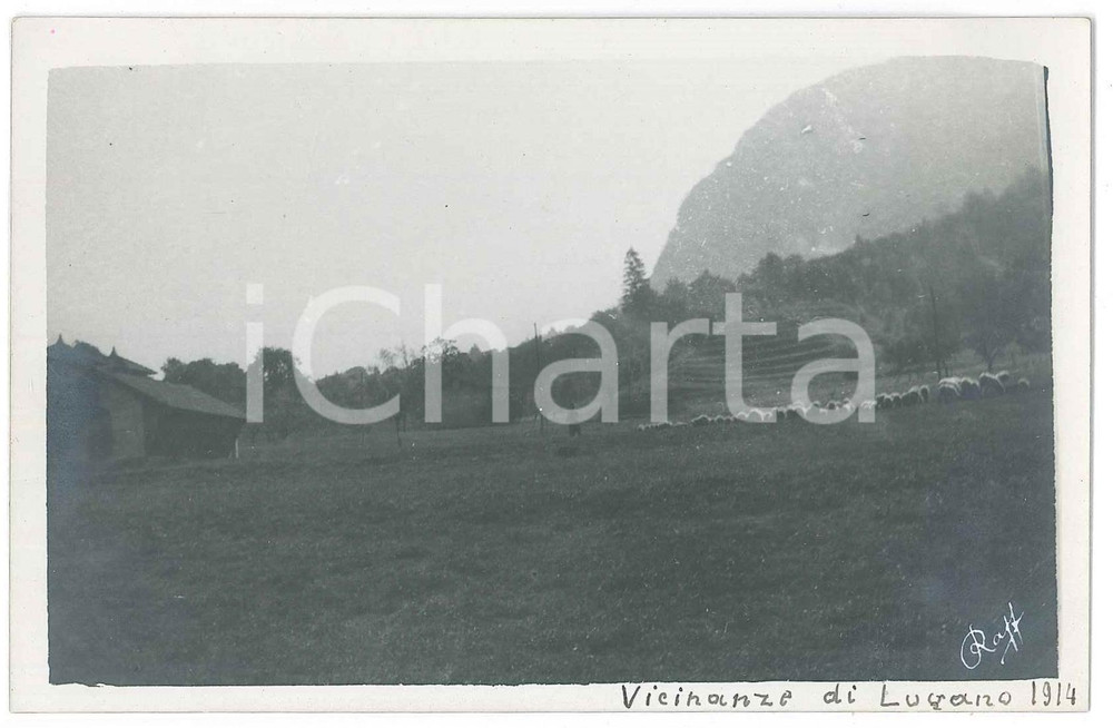 Fotografia d epoca originale 1914 SVIZZERA Vicinanze di LUGANO Veduta  Fotografia Raffaele PEDRETTI 1