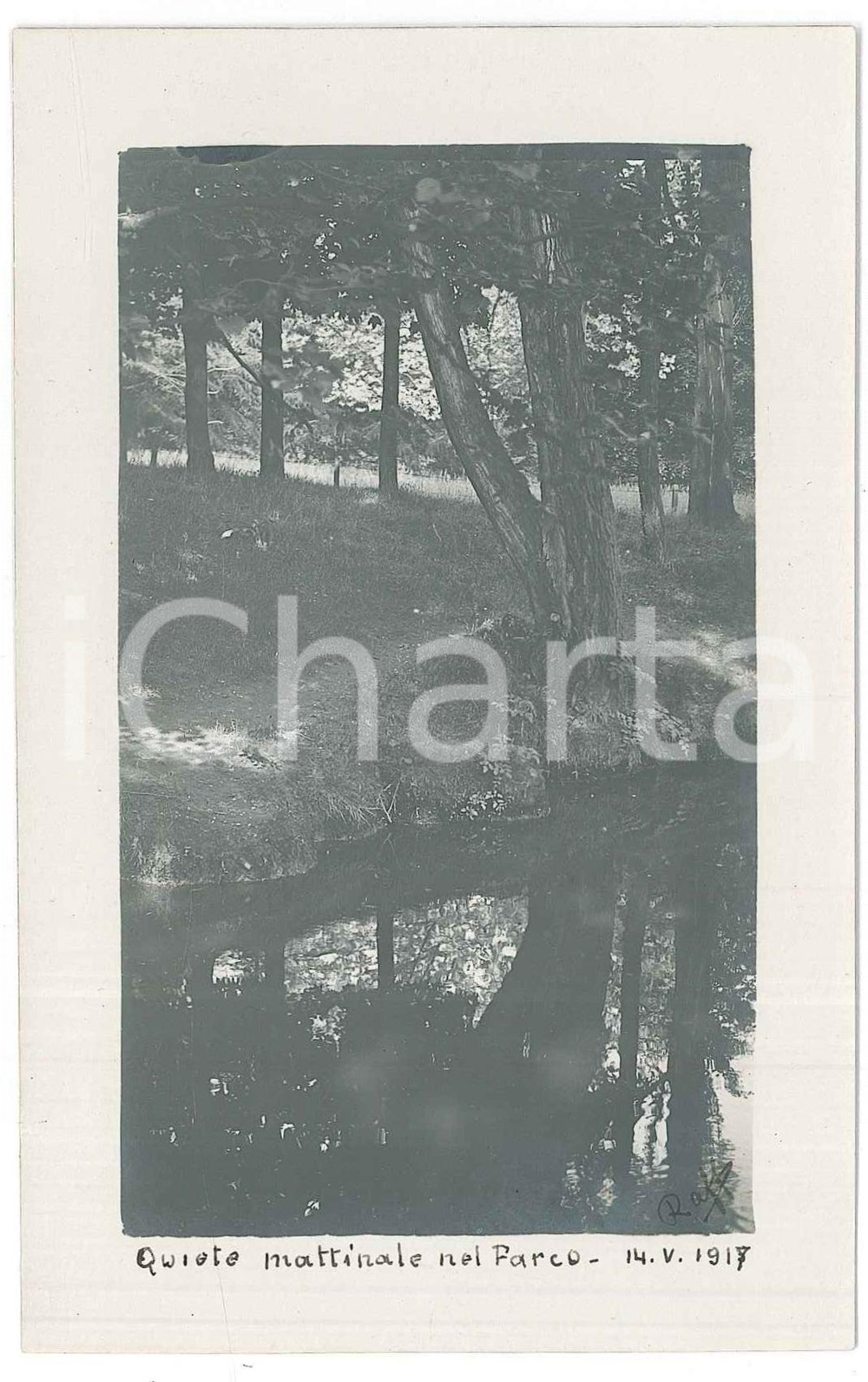 Fotografia d epoca originale 1917 MILANO Parco Sempione Scorcio  Fotografia Raffaele PEDRETTI 1 1