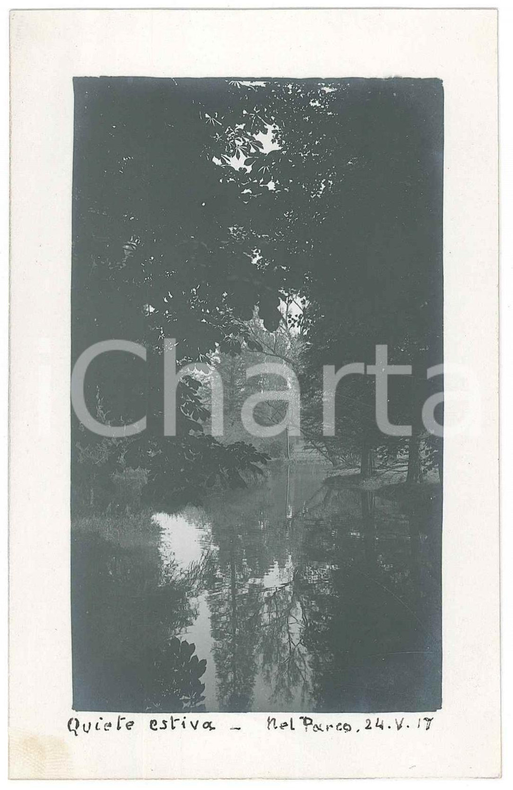 Fotografia d epoca originale 1917 MILANO Parco Sempione  Scorcio  Fotografia Raffaele PEDRETTI 1