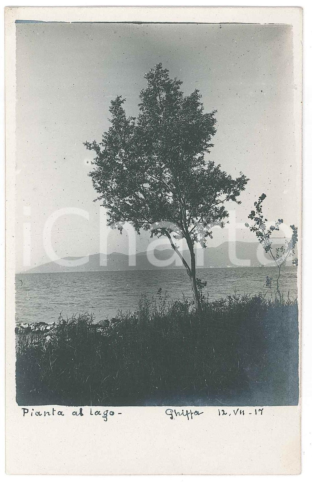 1917 GHIFFA Veduta del LAGO MAGGIORE Fotografia Raffaele PEDRETTI  Fotografia d'epoca in formato cartolina postale.FOTOGRAFO: Raffaele Pedretti FAIR/discreto Lievi smussature agli angoli Formato: FP originale e autentica 1