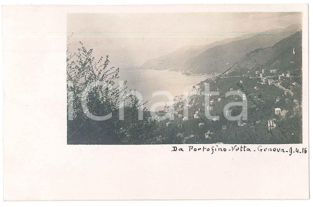 1916 GENOVA vista da PORTOFINO VETTA Fotografia Raffaele PEDRETTI  Fotografia d'epoca in formato cartolina postale.FOTOGRAFO: Raffaele Pedretti FAIR/discreto Lievi smussature agli angoli Formato: FP originale e autentica 1
