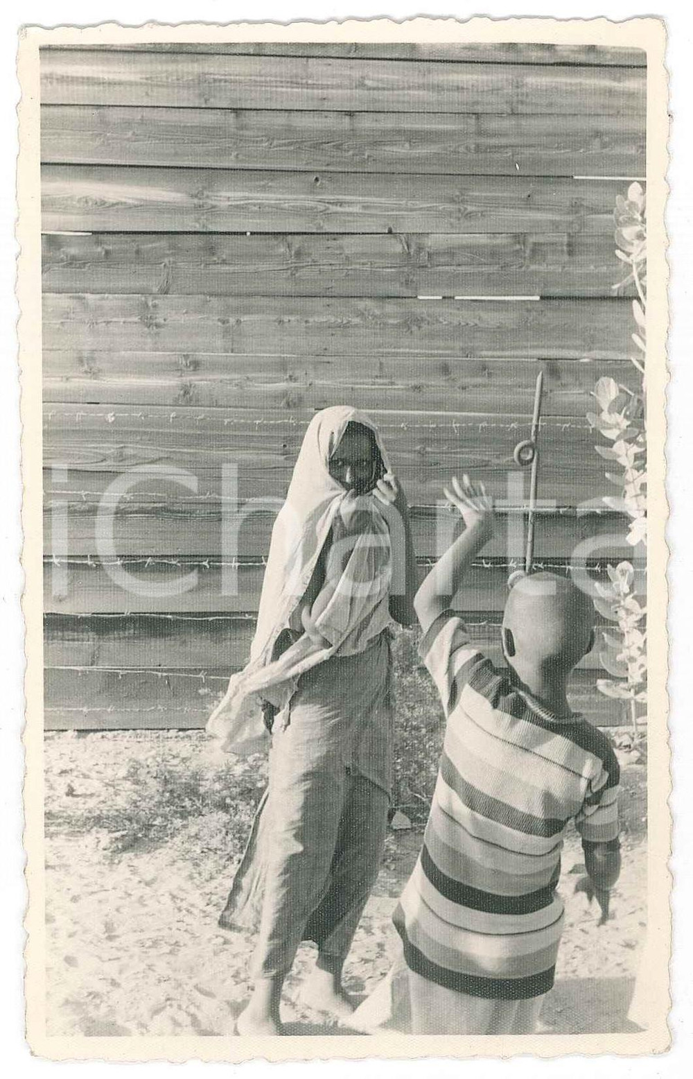 1940 ca MASSAUA - ERITREA Ritratto di donna velata - Fotografia FOTOMOLISSO 7x11  Fotografia d'epoca. FAIR/discreto Lievi smussature agli angoli, lieve piegatura all'angolo superiore sinistro Formato: 13x8 cm originale e autentica 1
