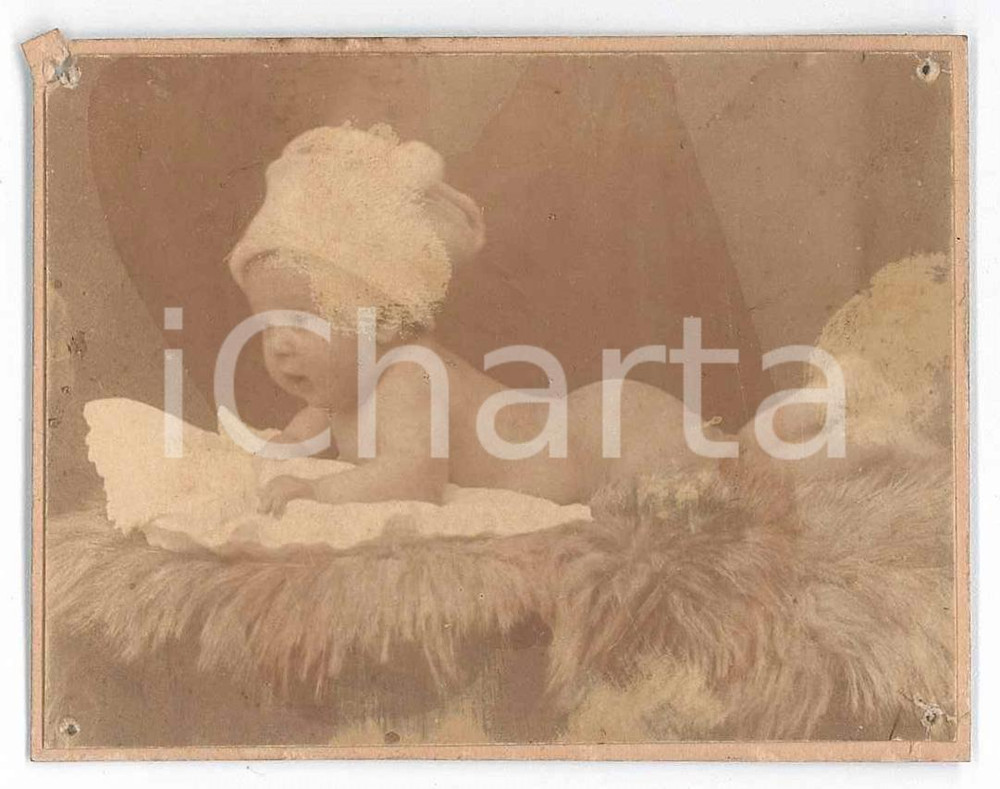 1905 ca ITALIA (?) Neonato riposa su pelliccia - Fotografia anonima 6x8 cm Fotografia d'epoca. POOR/danneggiato Forellini da affissione, strappo agli angoli, residui di incollatura al verso Formato: 6x8 originale e autentica 1