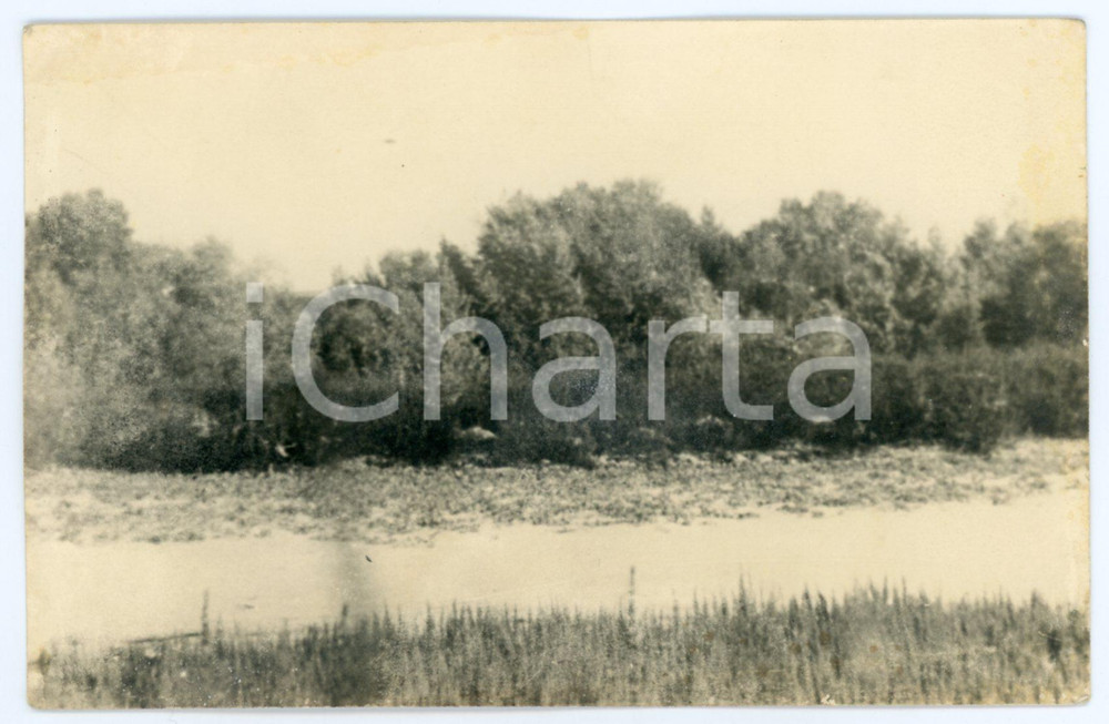 1943 WW2 ARMIR Campagna di RUSSIA - Postazione nella boscaglia *Foto 14x9 Fotografia d'epoca, in formato cartolina postale, scattata durante le operazioni dell'ARMIR (Armata italiana in Russia o 8&ordf; Armata) nella campagna di Russia. CONDIZIONI: F (lievi ingiallimenti al lato superiore)FORMATO: 14x9 cm    originale e autentica 1