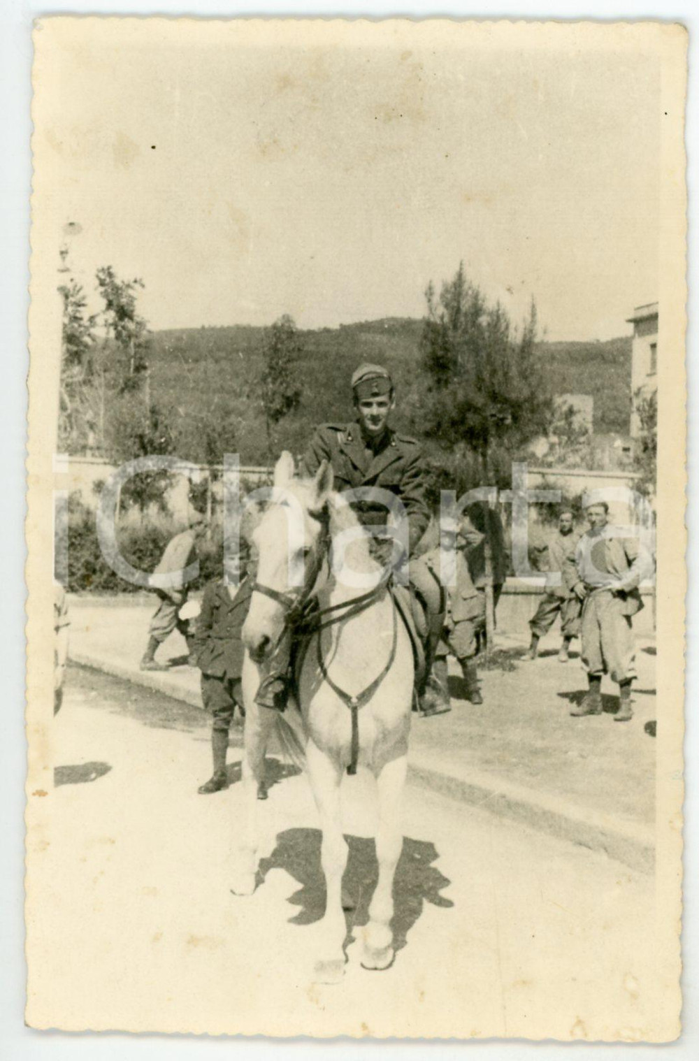 1915 ca WW1 - ALBANIA (?) Soldato italiano in sella a un cavallo - Foto 8x13 cm  Fotografia d'epoca in formato cartolina postale, non viaggiata. FAIR/discreto Lievi smussature agli angoli Formato: FP originale e autentica 1