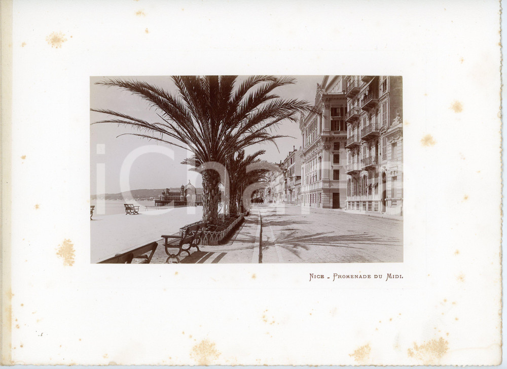 1910 ca NICE (CÃ´te d'Azur, FRANCE) Promenade du Midi - Photo Fotografia seriale d'epoca, montata su cartoncino morbido.Margine telato a sinistra. POOR fioriture Formato: 30x23 (cartoncino); 18x11 (fotografia)) originale e autentica 1