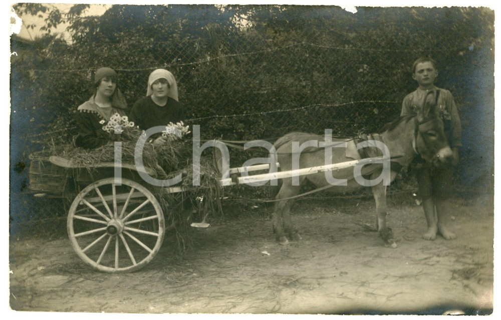 Maggio 1921 ITALIA Donne su calesse trainato da asinello - Foto CURIOSA 14x9 Fotografia originale d'epoca, in formato cartolina postale.Dedica manoscritta al verso.CONDIZIONI: F (abrasioni marginali e piegatura angolare)FORMATO: 14x9 cm    originale e autentica 1