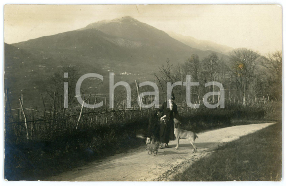 1920 ca ITALIA Donna a passeggio con i suoi cani - Foto COSTUME 14x9 cm Fotografia originale d'epoca, in formato cartolina postale.CONDIZIONI: F (piccolo residuo centrale; minimo strappo al lato superiore)FORMATO: 14x9 cm    originale e autentica 1
