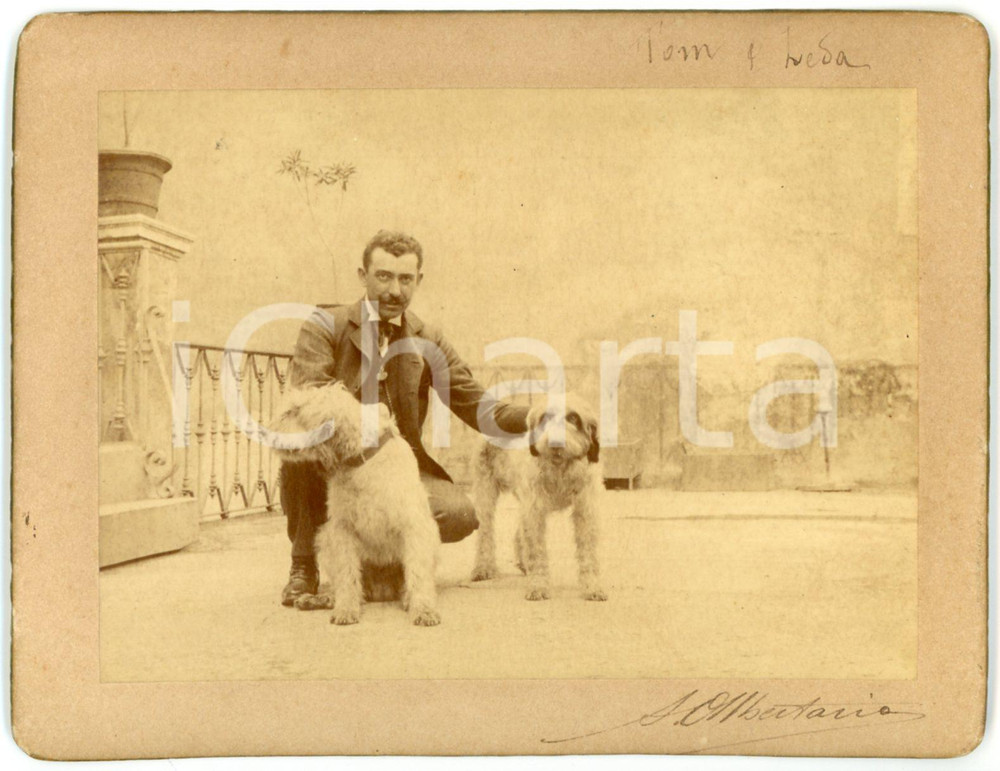 1900 ca LOMBARDIA Ritratto di uomo con i suoi due cani *Foto A. ALBERTARIO 13x10 Fotografia d'epoca, montata su cartoncino rigido.Didascalia "A. Albertario" al lato inferiore.FORMATO: 13x10 cmCONDIZIONI: G     originale e autentica 1
