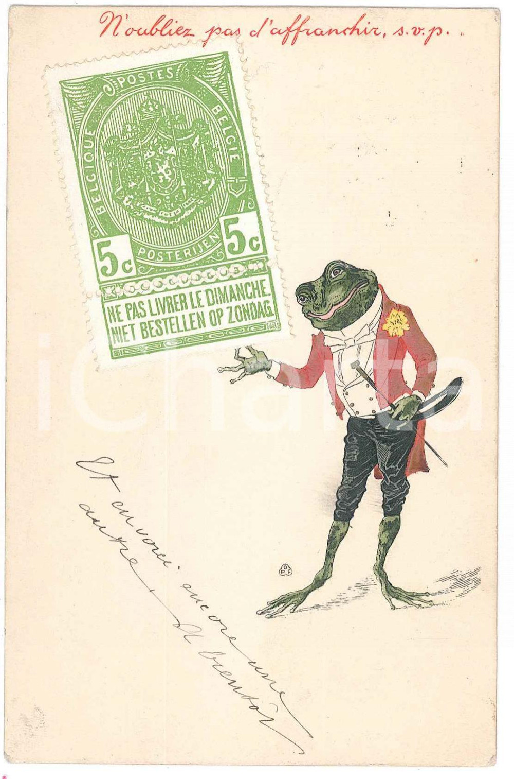 1905 ANIMALS Elegant toad ANTHROPOMORPHIC Postcard FP VG  Cartolina postale d'epoca, viaggiata.CONDIZIONI: FAIR (lievi smussature agli angoli)FORMATO: FP    originale e autentica 1